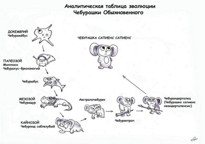 Картинка:Cheburashka-evoluciq.jpg