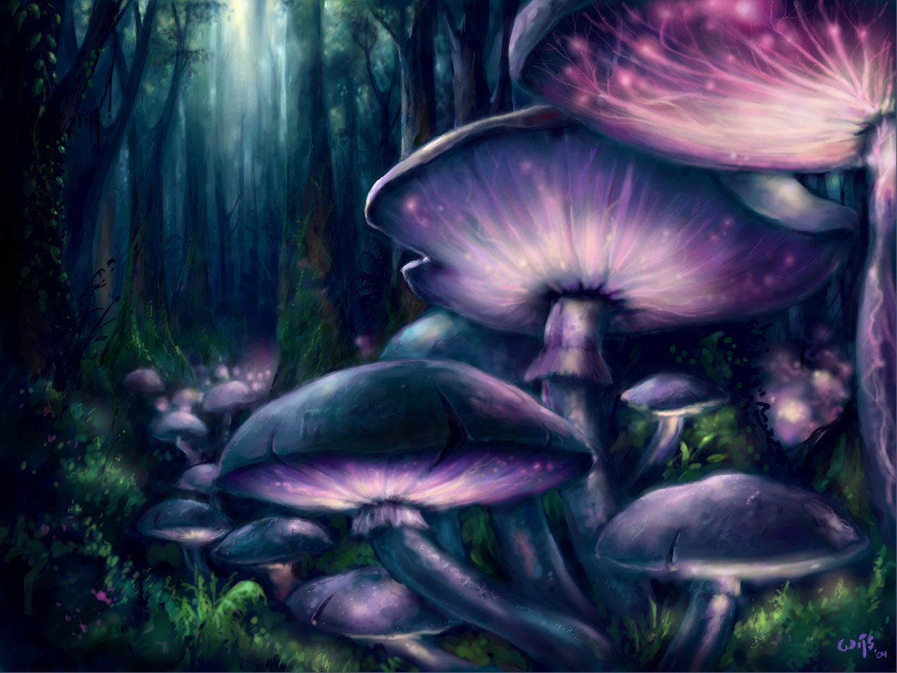 Картинка:Living_Mushrooms.jpg