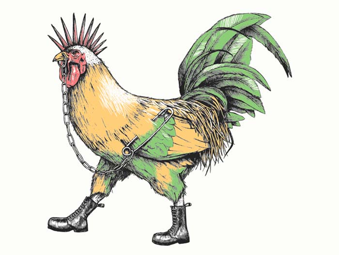 Картинка:Punk-rooster.jpg